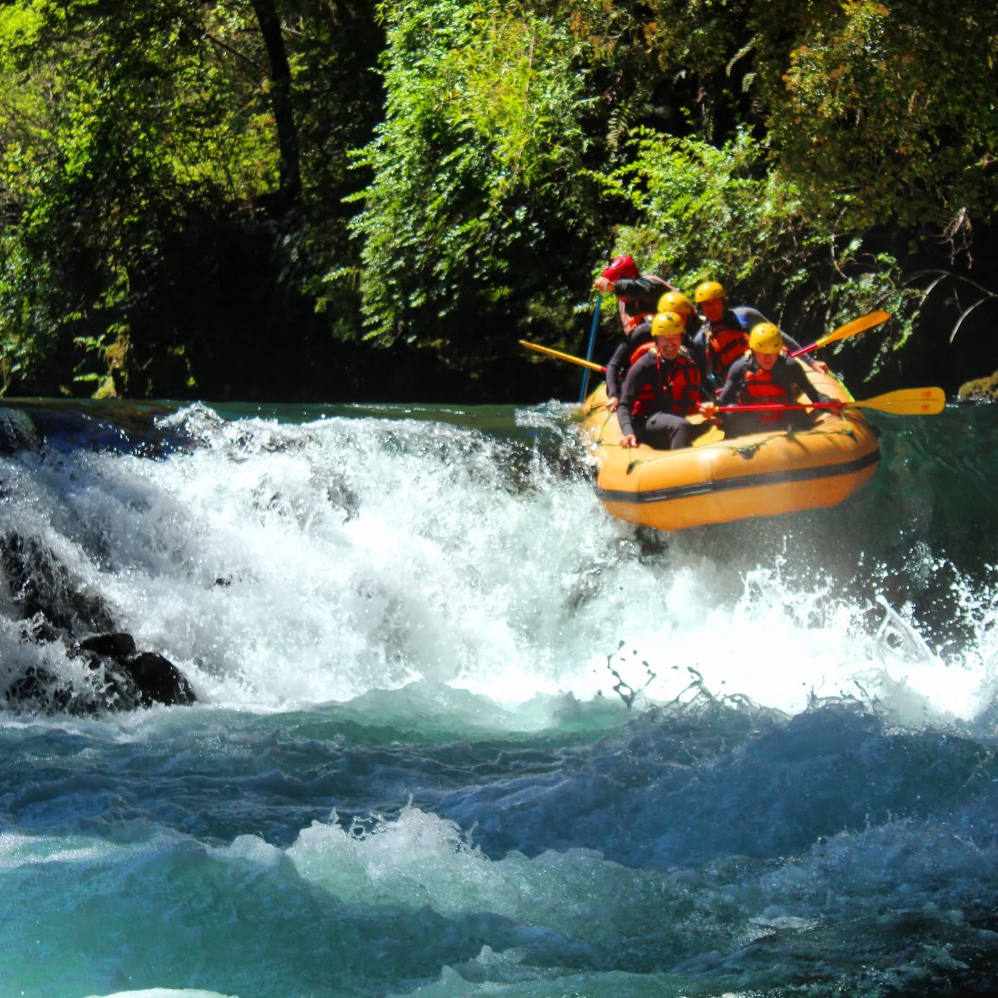 Imagen de la galería